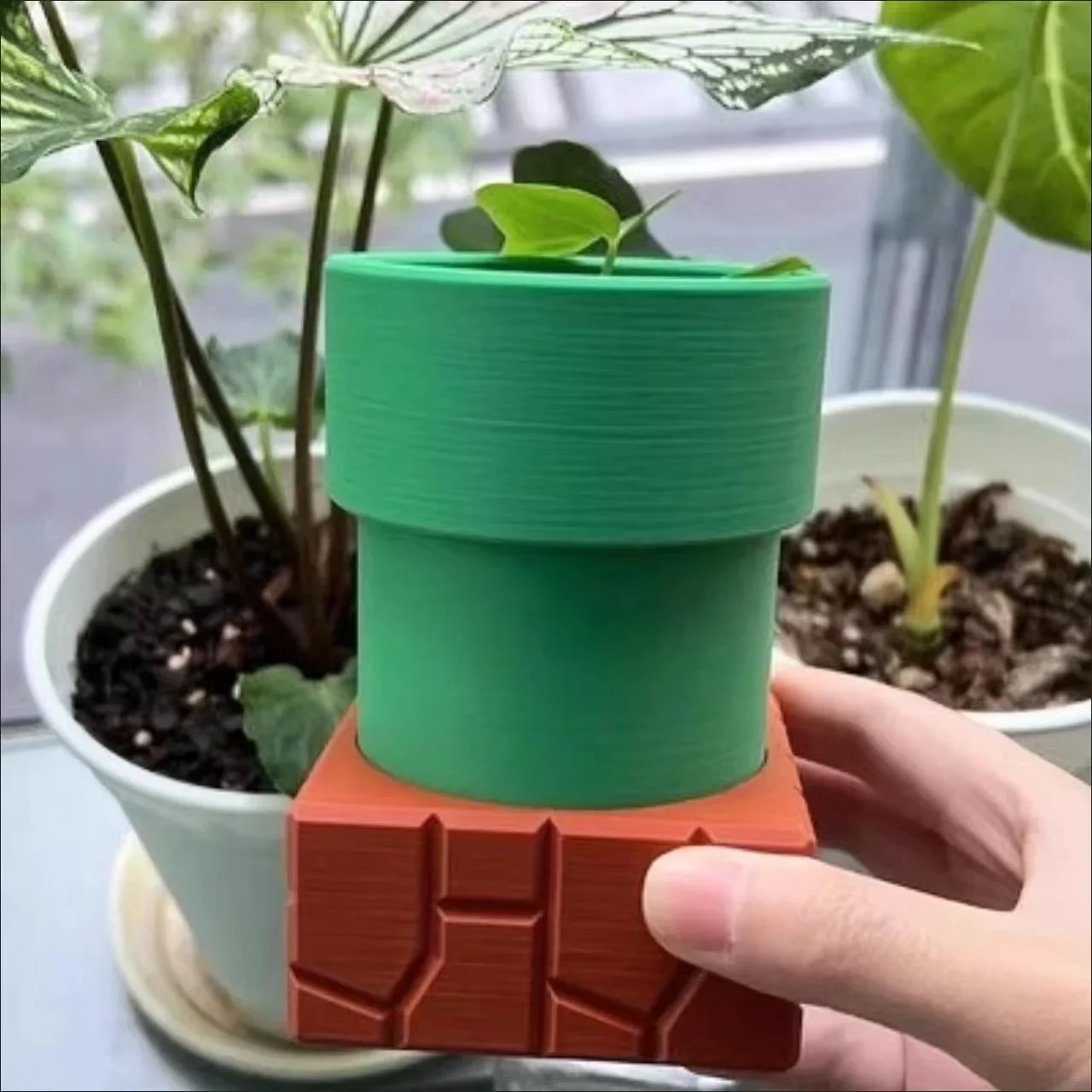 Snake Plant Ceramic - Tubo de água canibal vasos de