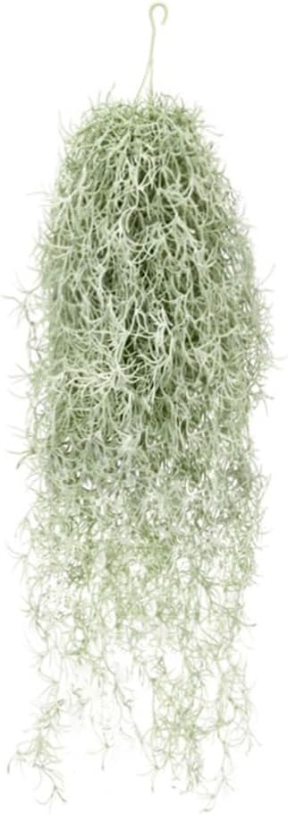 Air Plant Tillandsia - Plantas de ar artificiais flocadas de