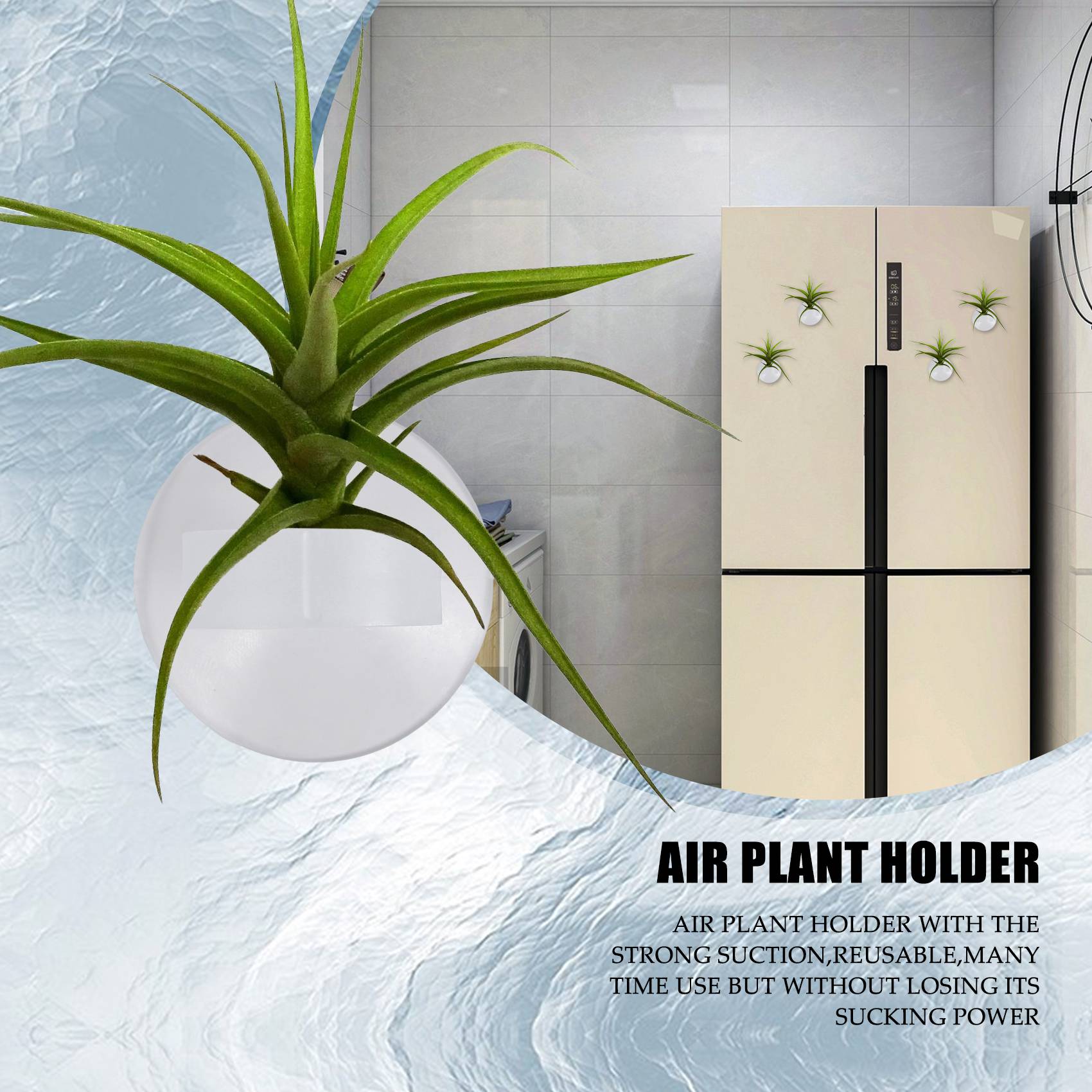 Air Plant Tillandsia - Suporte para Plantas Aéreas AC76-20, Suporte