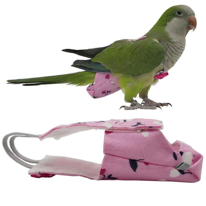 Plant Parenthood - Fralda de papagaio com gravata borboleta,