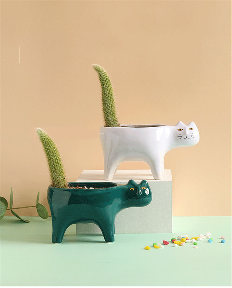 Snake Plant Ceramic - Gato bonito cerâmica jardim vaso de