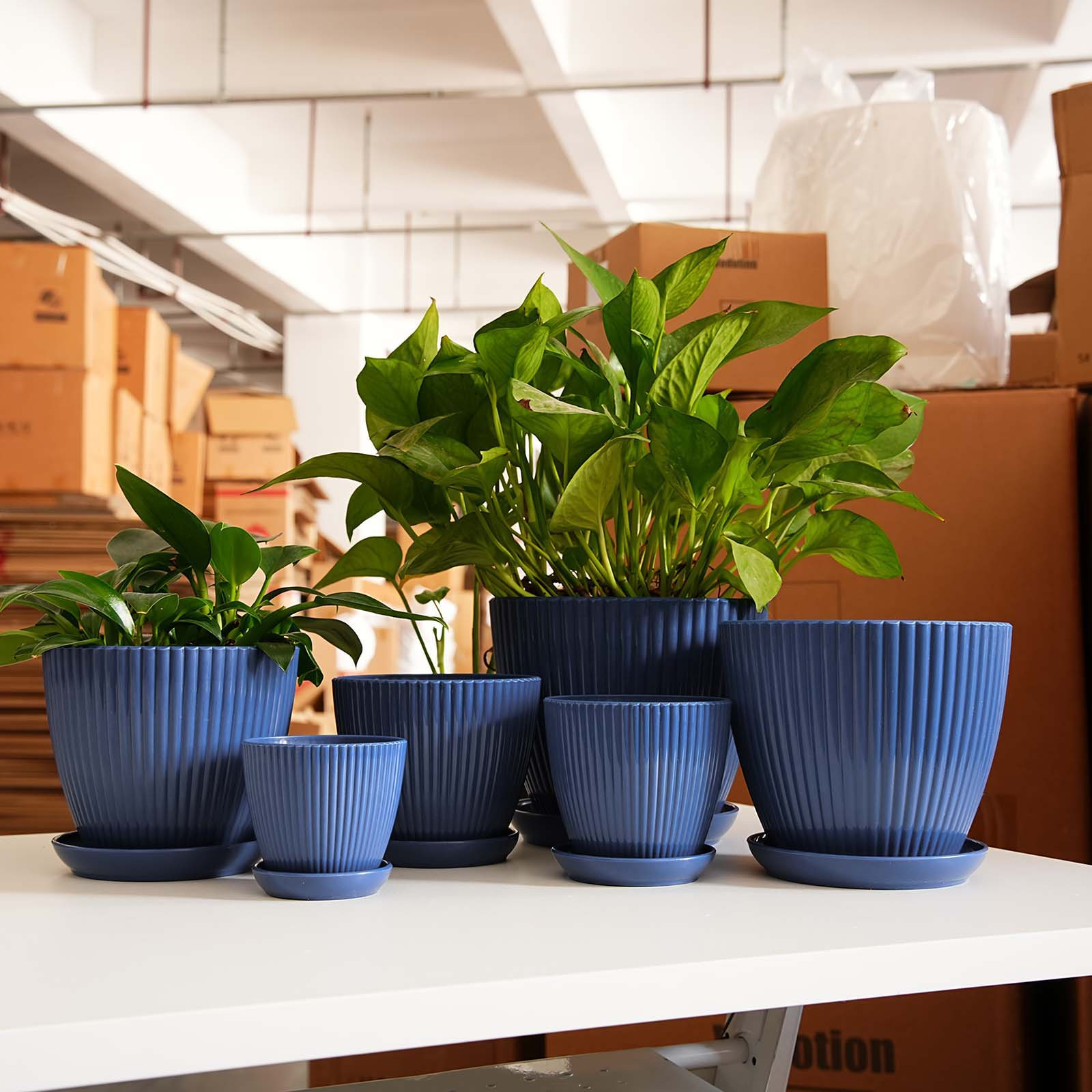 Snake Plant Ceramic - Vaso de Plástico Grosso com Listras