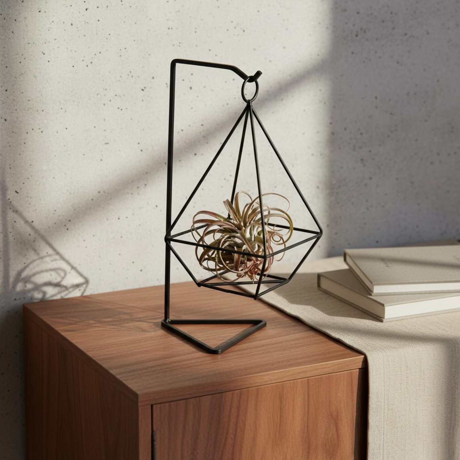 Air Plant Tillandsia - Suporte Geométrico para Plantas Aéreas com