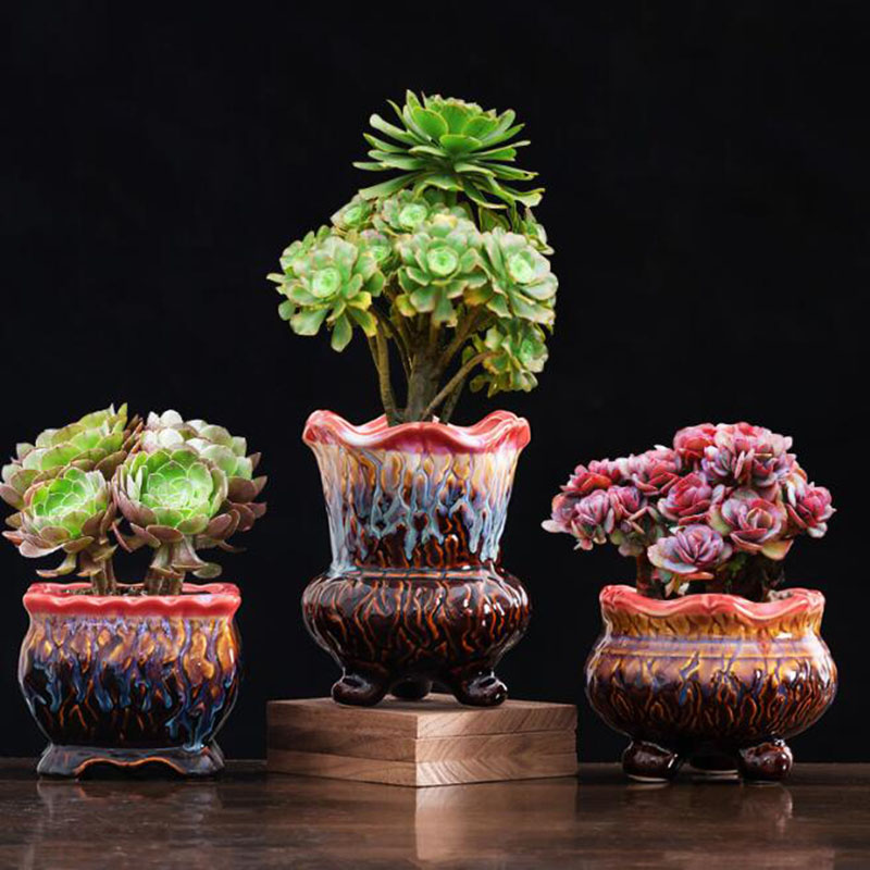 Vaso vitrificado criativo, vas - Snake Plant Ceramic avaliação e preço