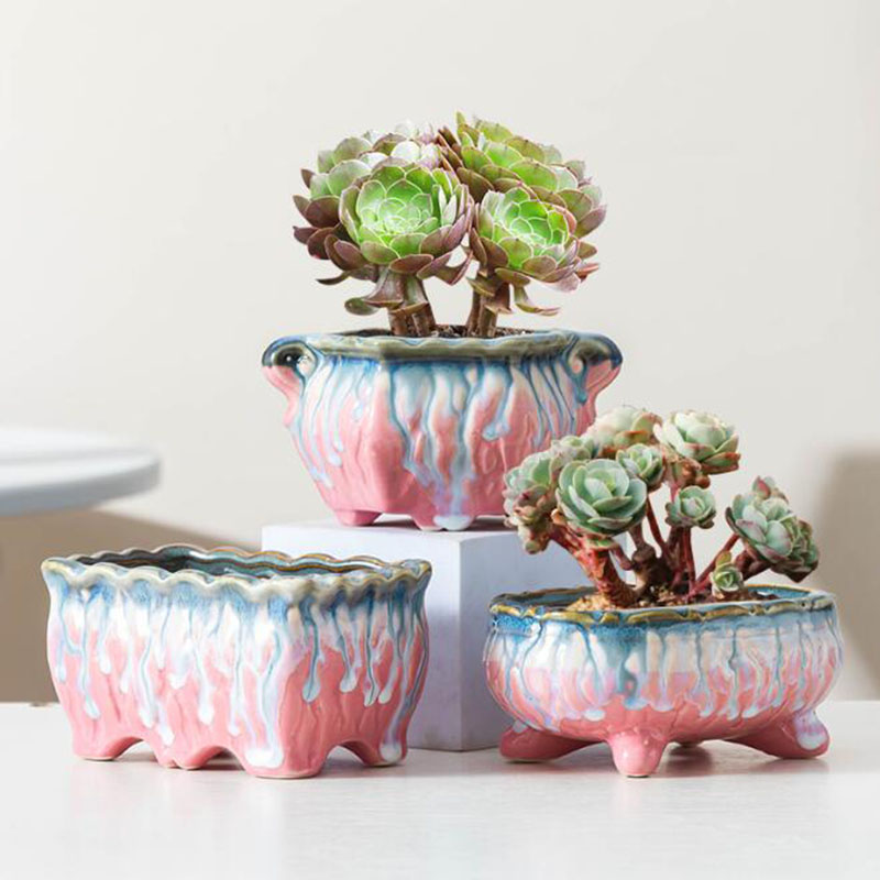 Vaso vitrificado criativo, vas - Snake Plant Ceramic avaliação e preço