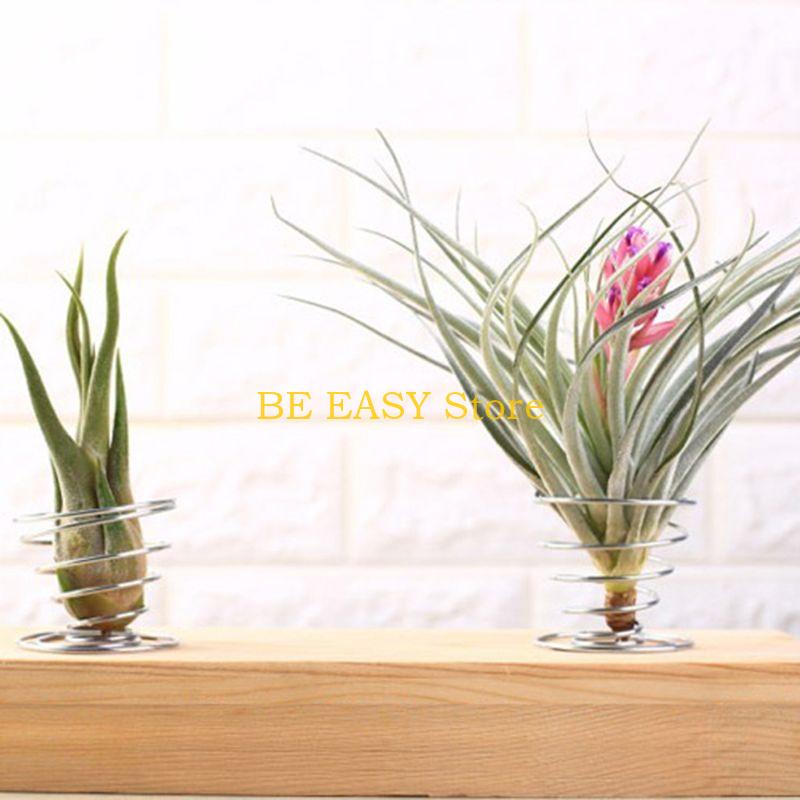 Conjunto E28F 20 plantas tropi - Air Plant Tillandsia avaliação e preço
