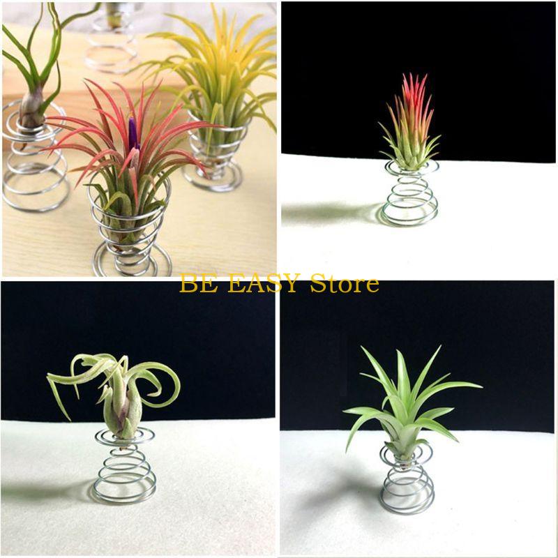 Conjunto E28F 20 plantas tropi - Air Plant Tillandsia avaliação e preço