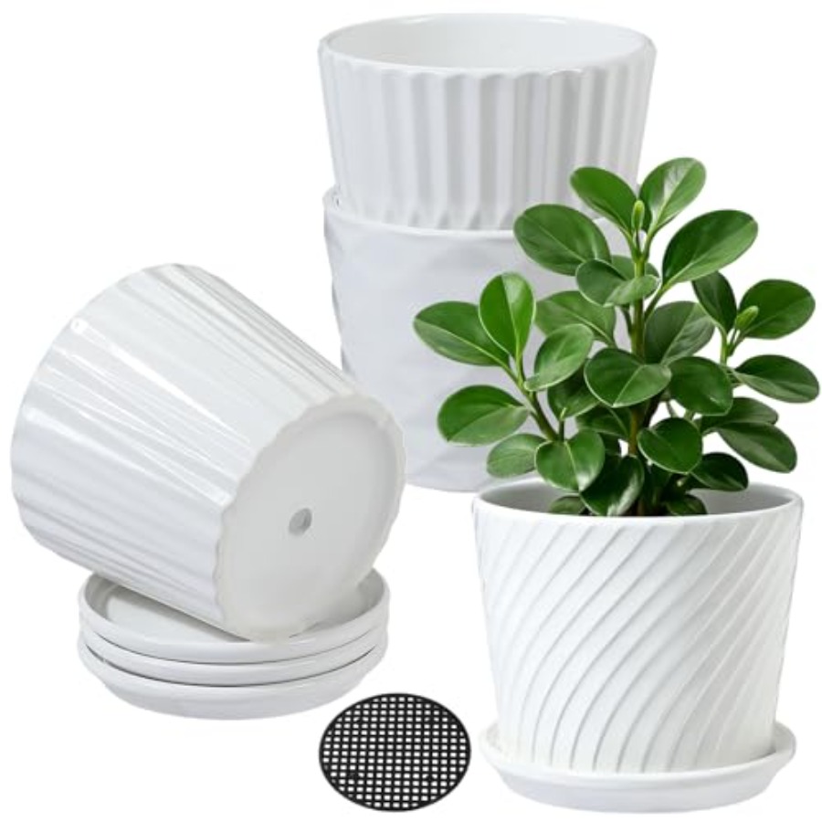 Vasos de Plantas - Vasos Cilín - Snake Plant Ceramic avaliação e preço