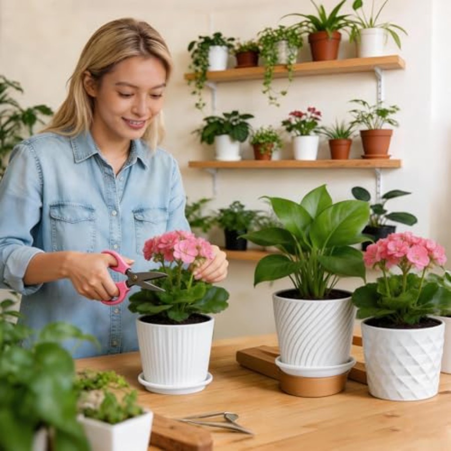 Vasos de Plantas - Vasos Cilín - Snake Plant Ceramic avaliação e preço