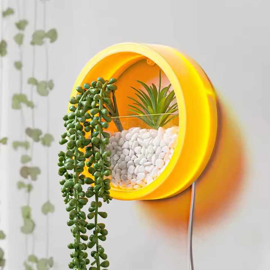 Vaso de Parede Redondo para Pl - Snake Plant Ceramic avaliação e preço