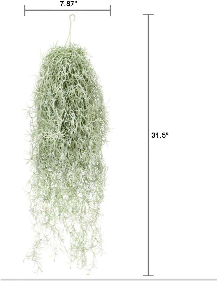 Plantas de ar artificiais floc - Air Plant Tillandsia avaliação e preço