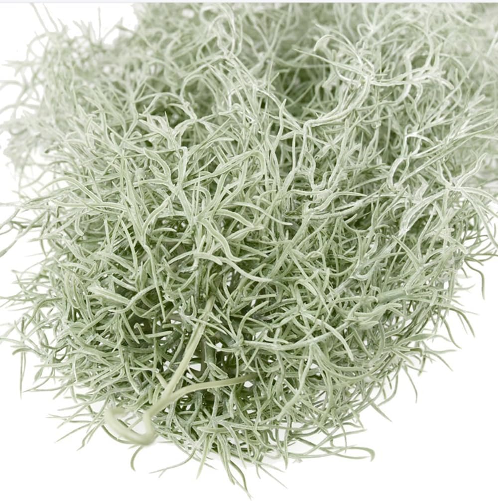 Plantas de ar artificiais floc - Air Plant Tillandsia avaliação e preço