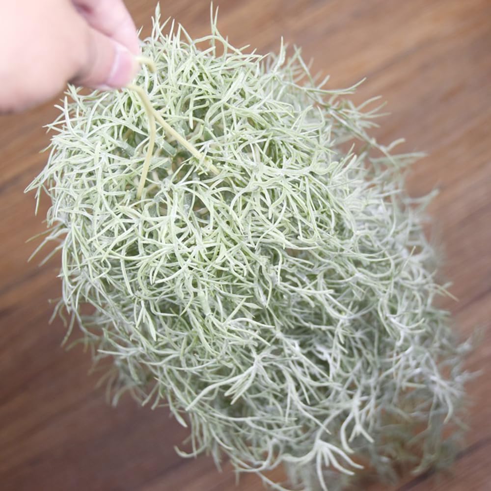 Plantas de ar artificiais floc - Air Plant Tillandsia avaliação e preço