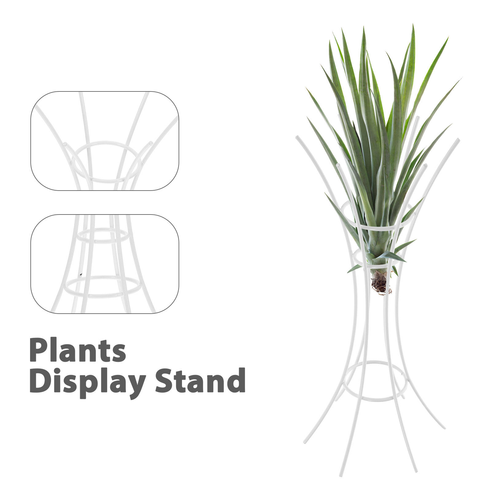 Suporte de Metal para Plantas  - Air Plant Tillandsia avaliação e preço