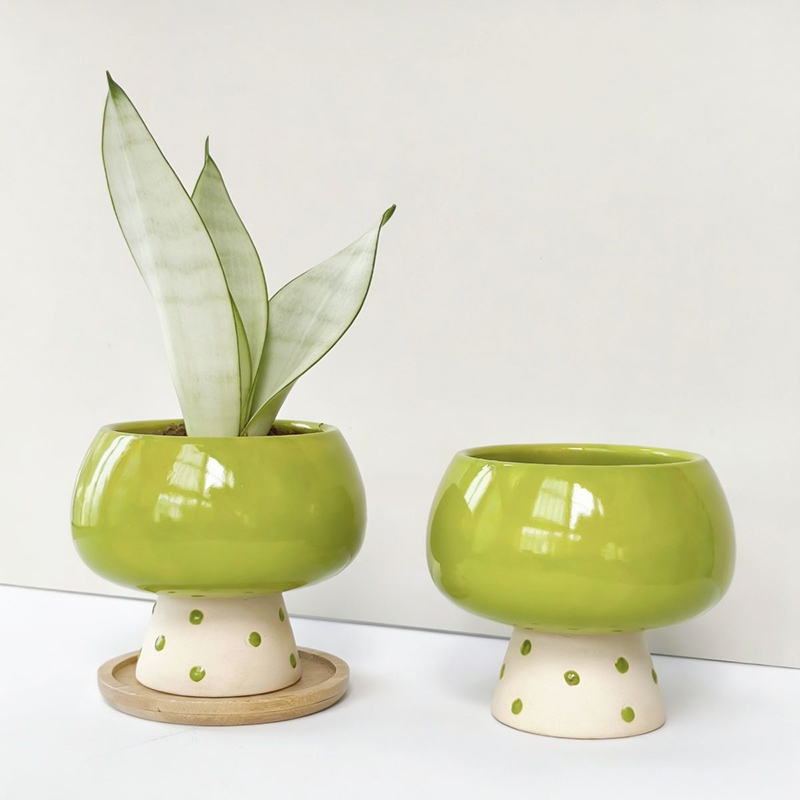 Vaso de Cerâmica Minimalista e - Snake Plant Ceramic avaliação e preço