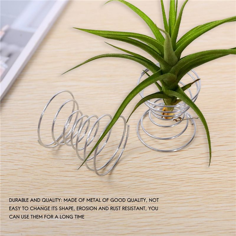 Mais Vendido - 6 Peças de Supo - Air Plant Tillandsia avaliação e preço