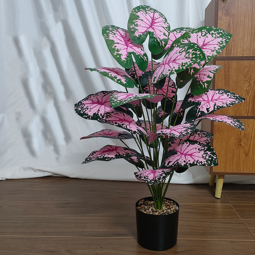 Folha rosa vasos de plantas ar - Fiddle Leaf Fig avaliação e preço