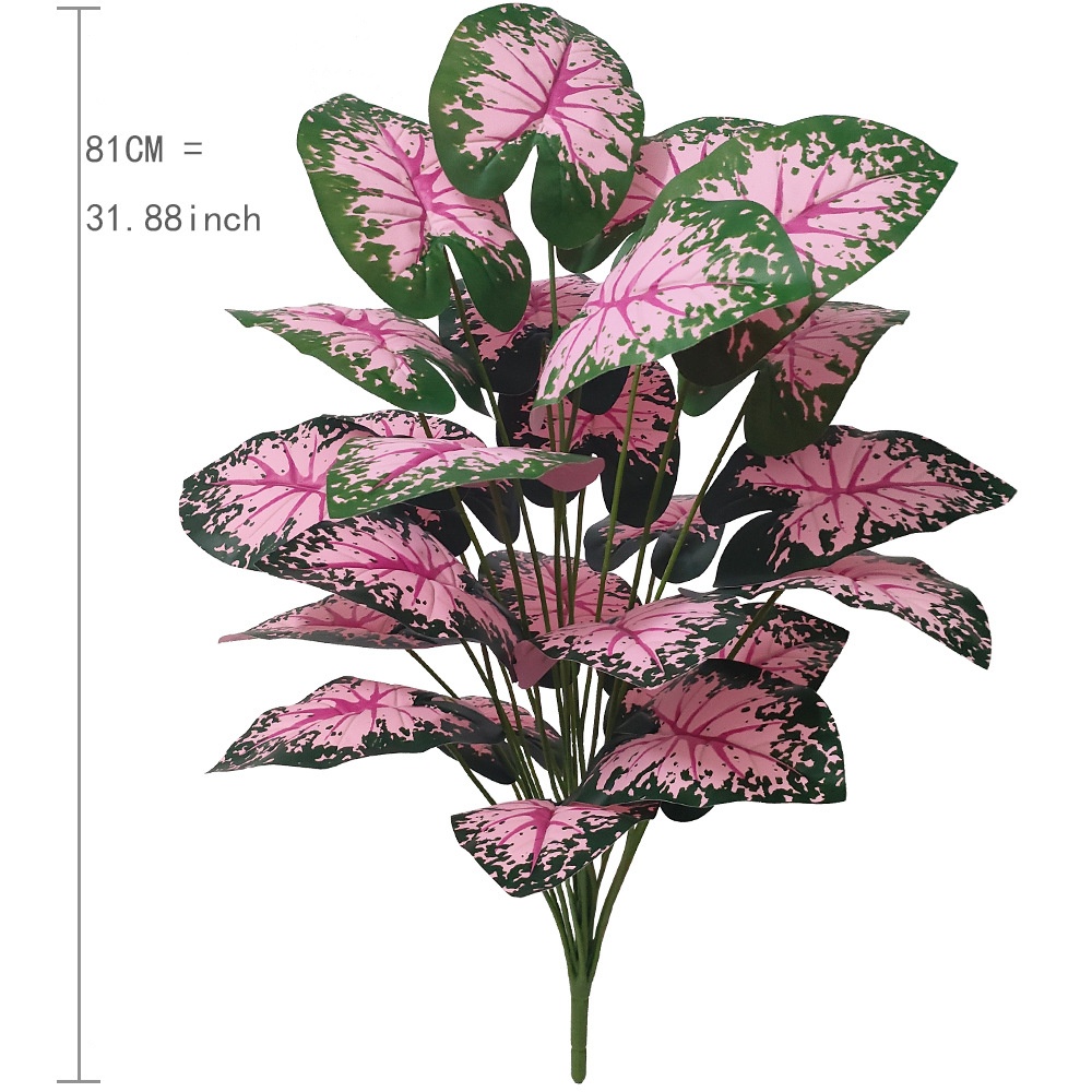 Folha rosa vasos de plantas ar - Fiddle Leaf Fig avaliação e preço