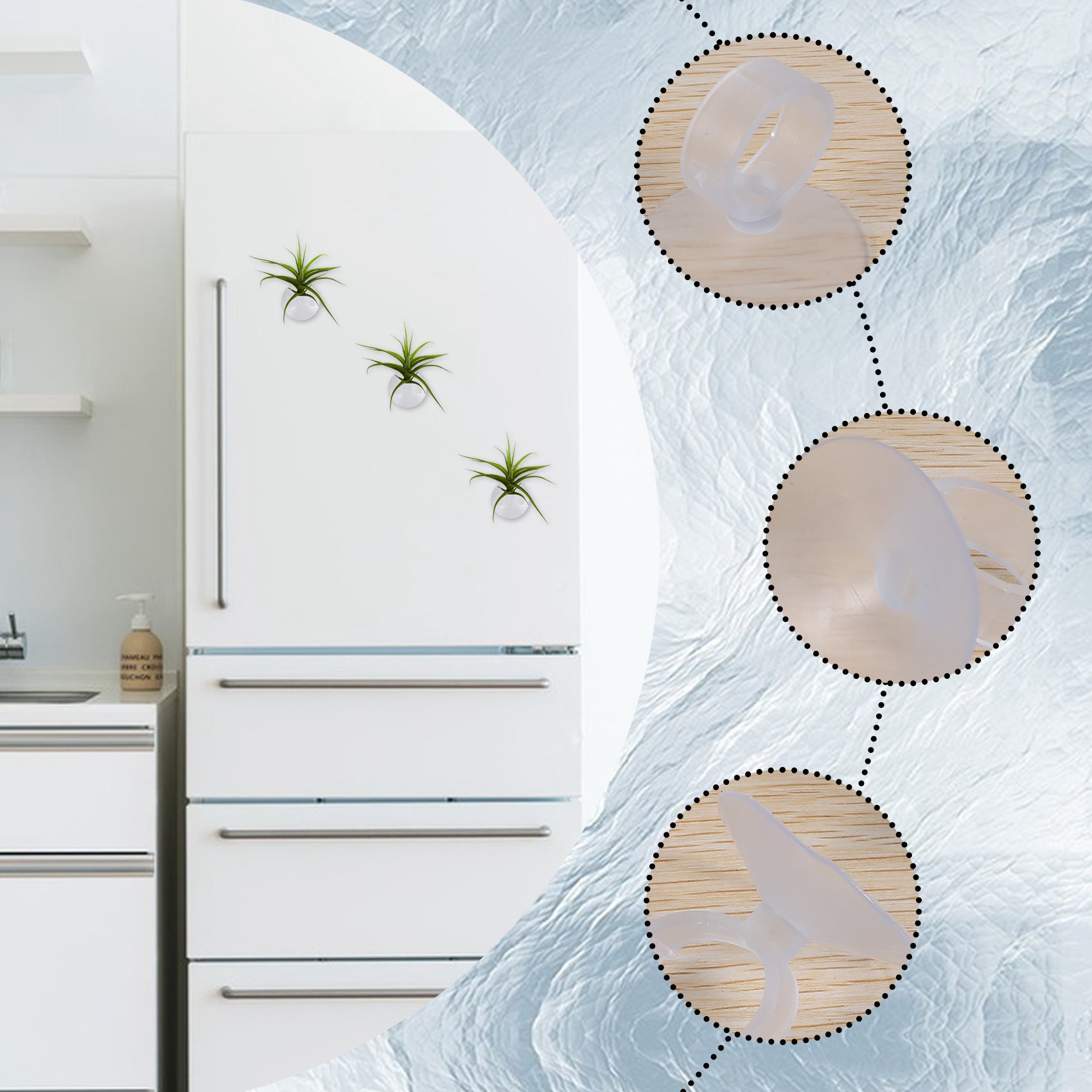Suporte para Plantas Aéreas AC - Air Plant Tillandsia avaliação e preço