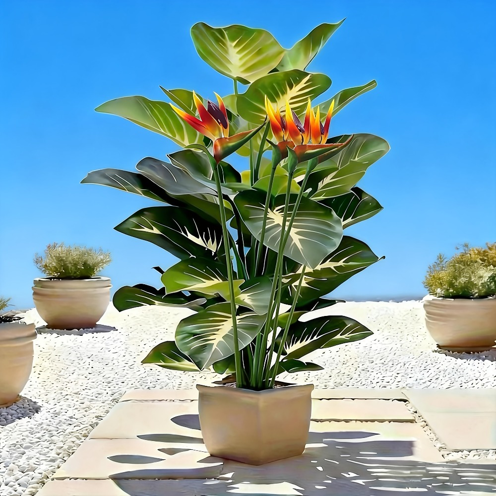Plantas Artificiais de Ave do  - Fiddle Leaf Fig avaliação e preço