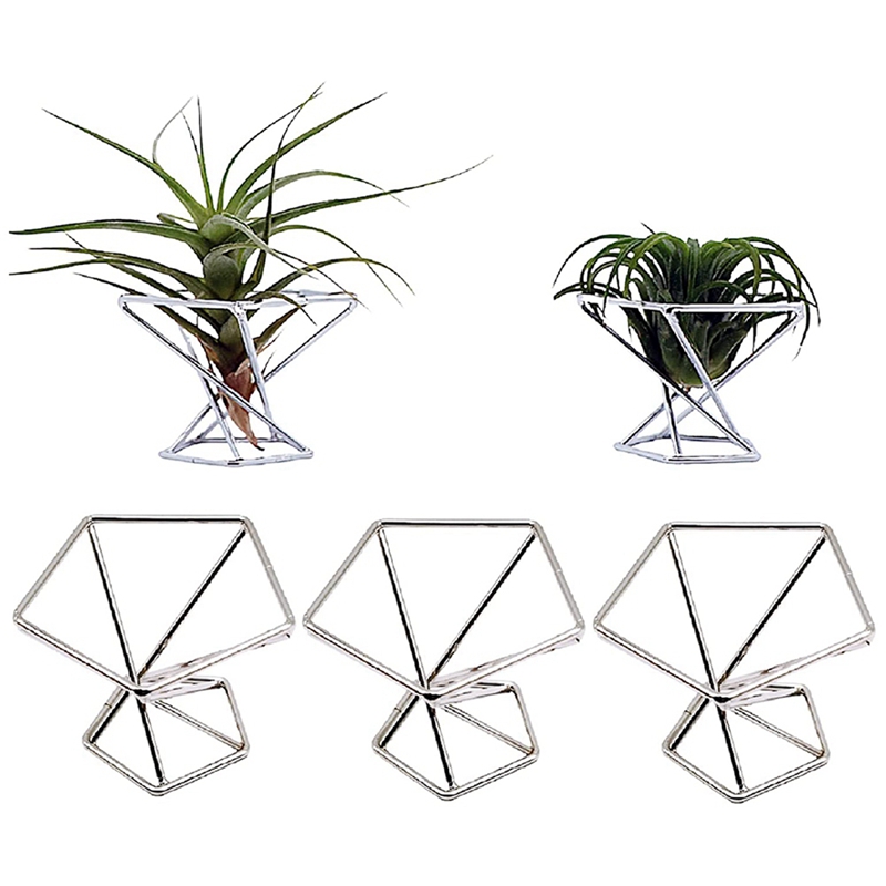 Pacote com 5 Suportes para Pla - Air Plant Tillandsia avaliação e preço