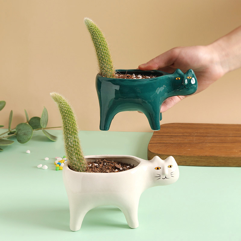 Gato bonito cerâmica jardim va - Snake Plant Ceramic avaliação e preço