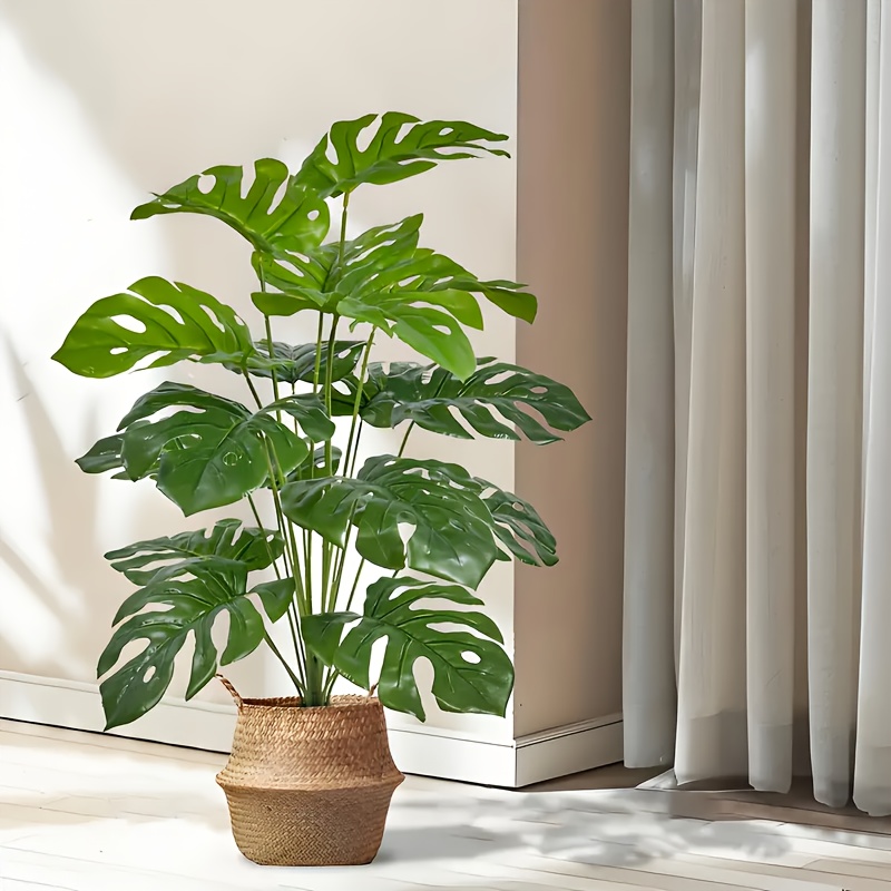 2 pçs verde 24 folhas plantas  - Fiddle Leaf Fig avaliação e preço