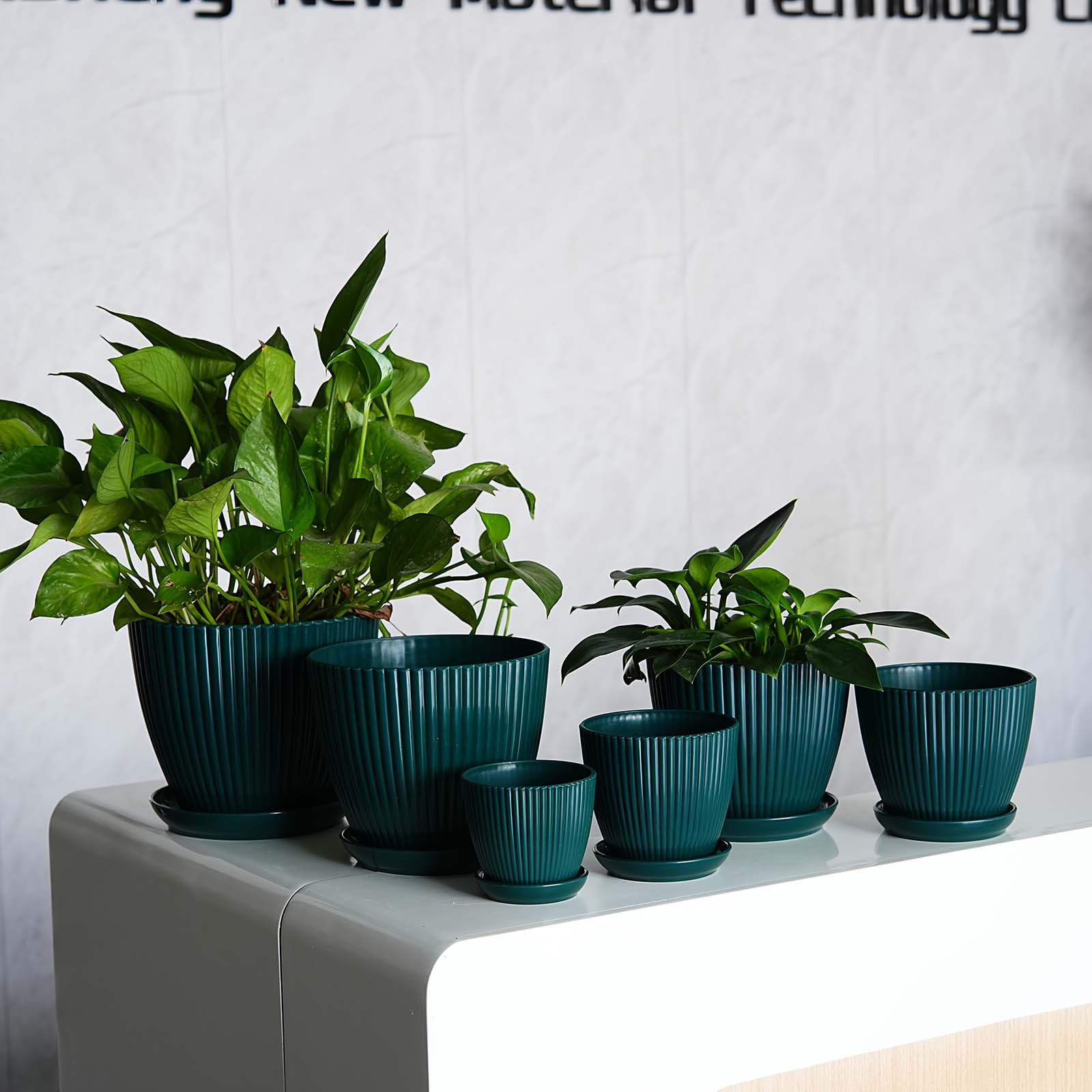 Vaso de Plástico Grosso com Li - Snake Plant Ceramic avaliação e preço