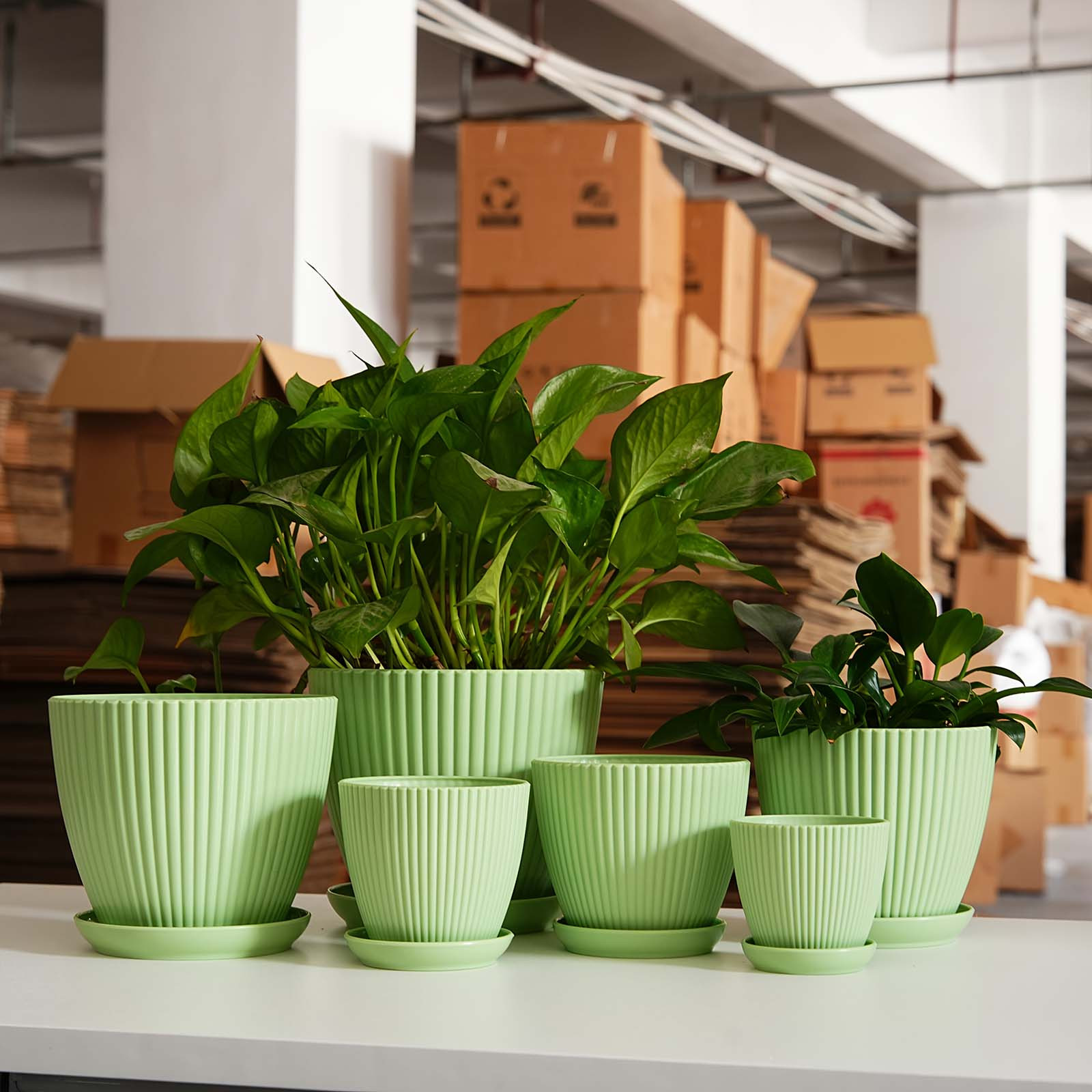 Vaso de Plástico Grosso com Li - Snake Plant Ceramic avaliação e preço