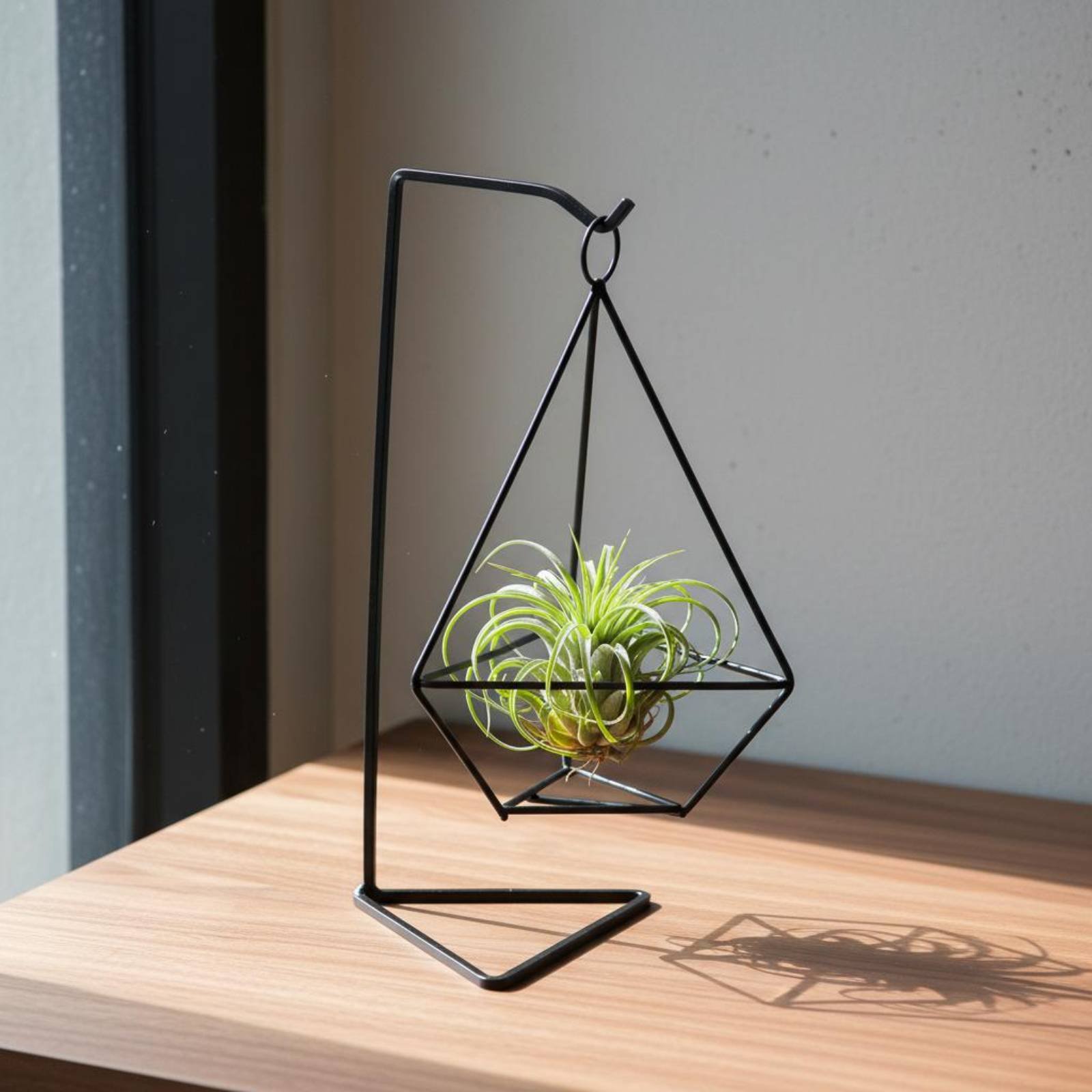 Suporte Geométrico para Planta - Air Plant Tillandsia avaliação e preço