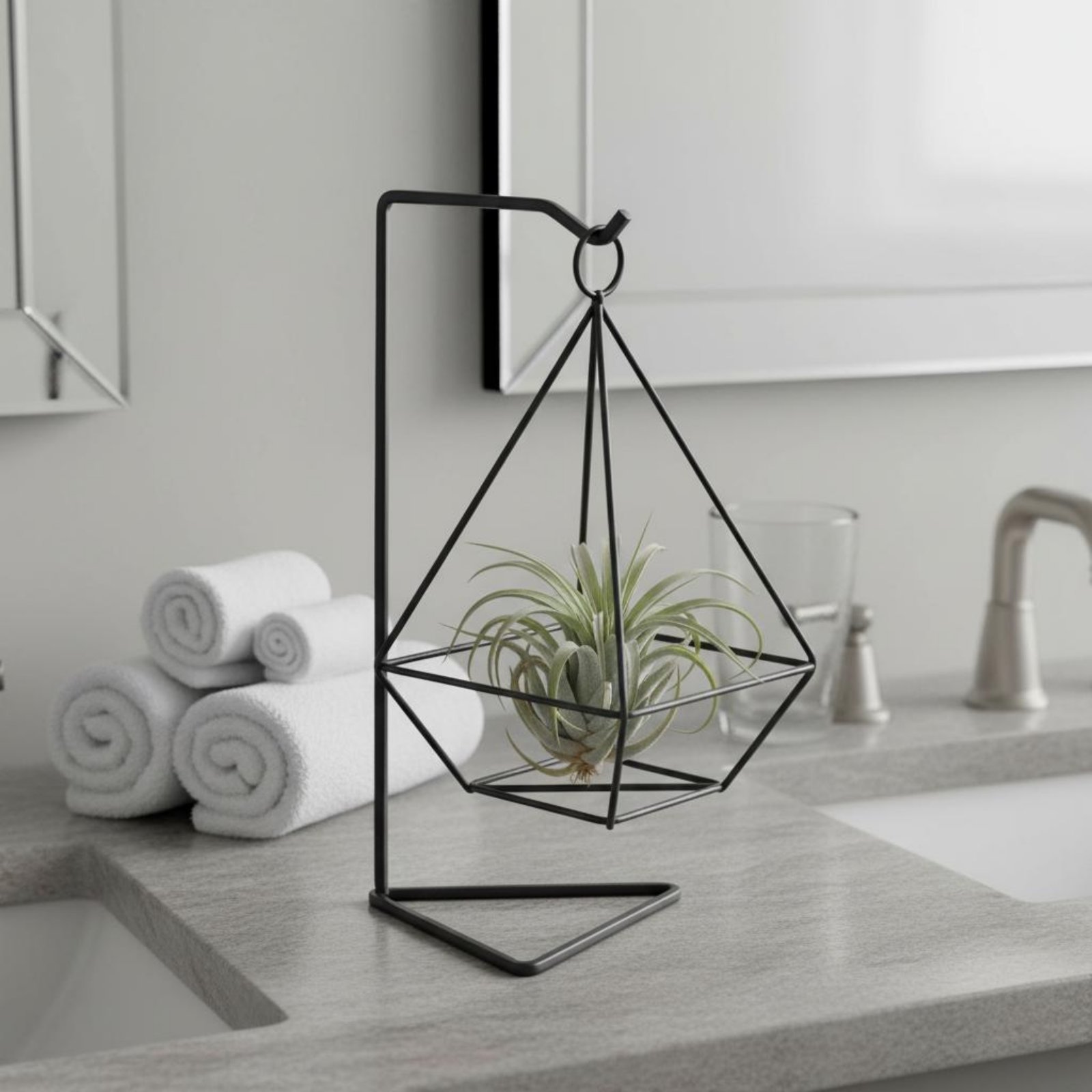 Suporte Geométrico para Planta - Air Plant Tillandsia avaliação e preço