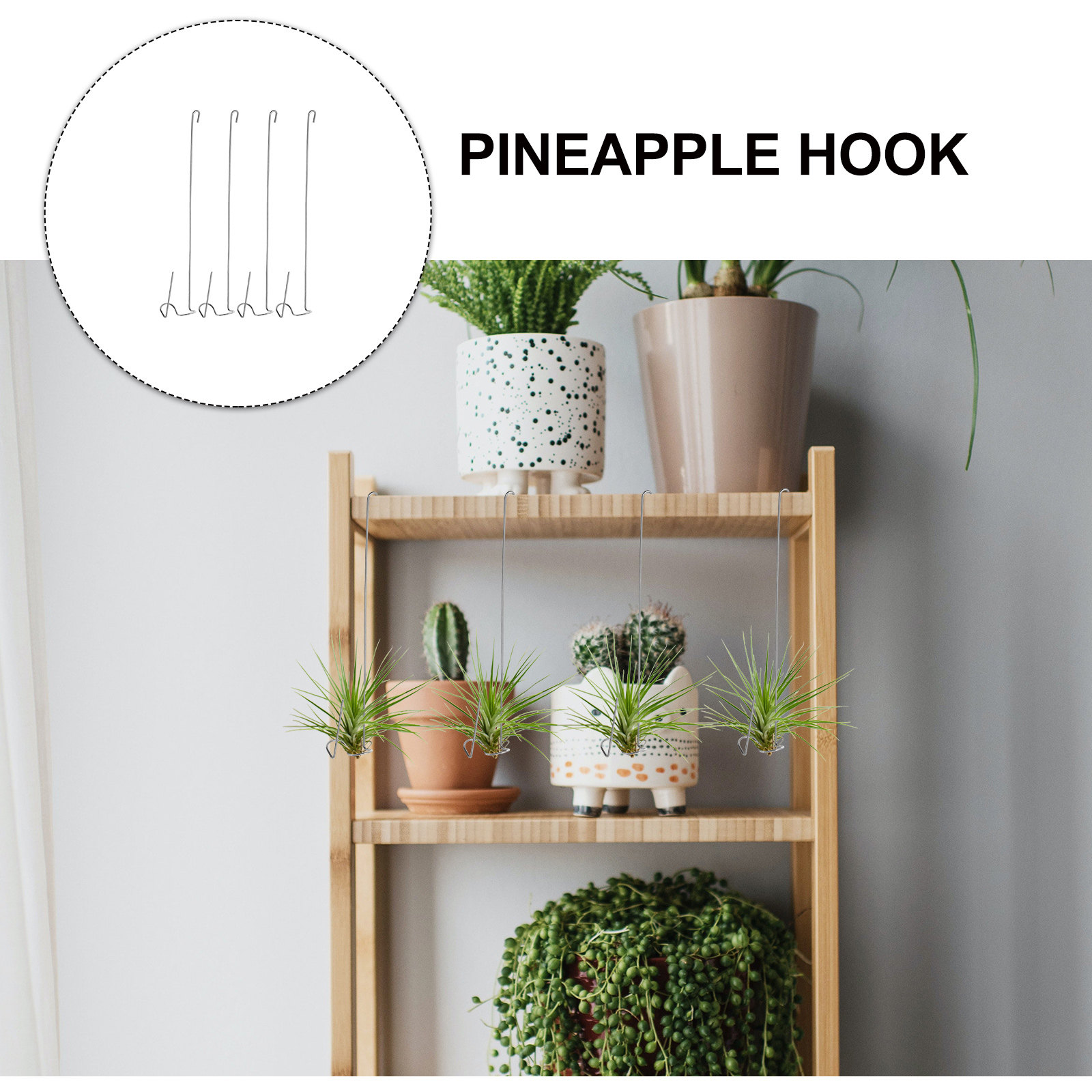 4 Peças de Ganchos de Aço Inox - Air Plant Tillandsia avaliação e preço