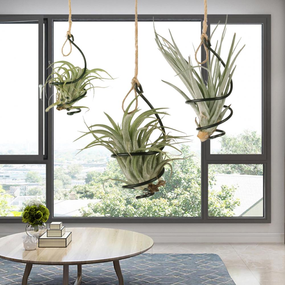Suporte de Metal para Plantas  - Air Plant Tillandsia avaliação e preço