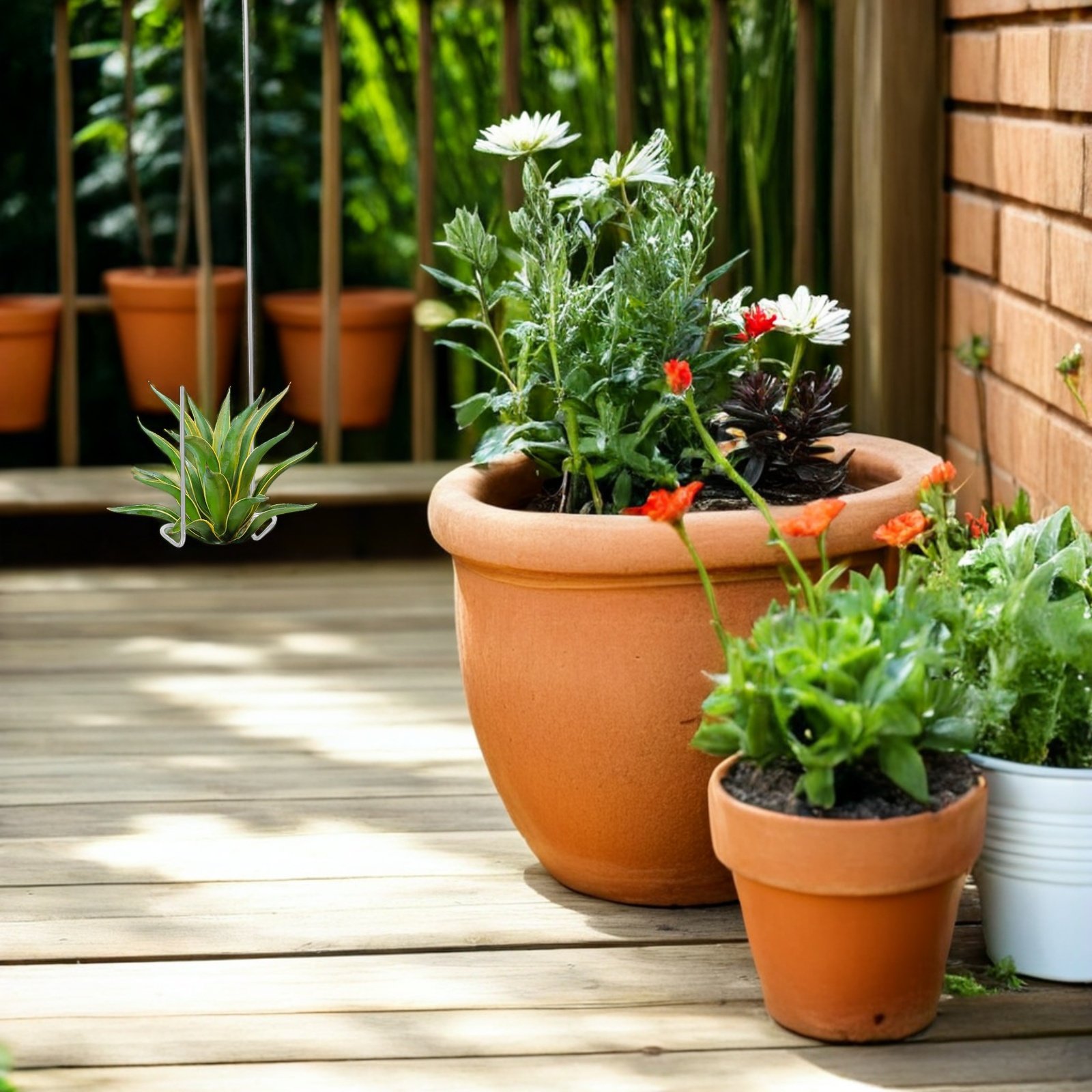 3 Peças Ganchos Elegantes de M - Air Plant Tillandsia avaliação e preço